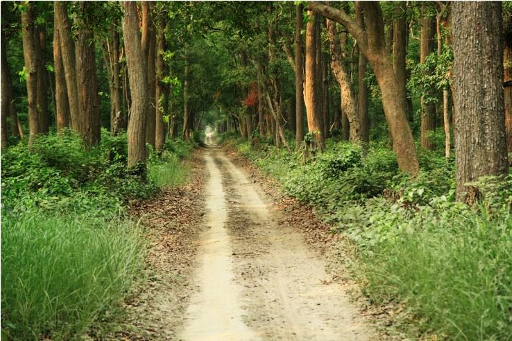 12- Dudhwa National Park